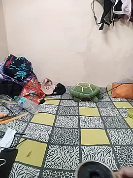 meenu_bhabhi547's cam snapshot