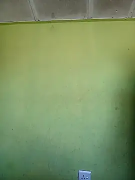 phumlanisanka live sex cam