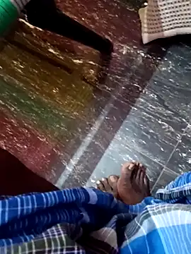 dolphiinn's cam snapshot