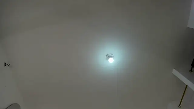 arielasm's cam snapshot