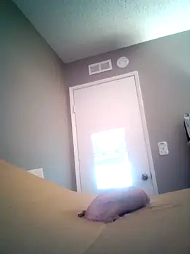 funcock78's cam snapshot