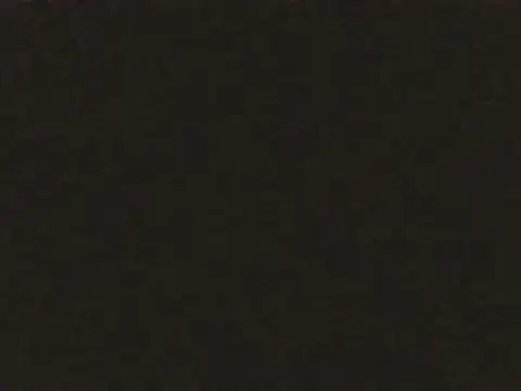 Thibotough's cam snapshot