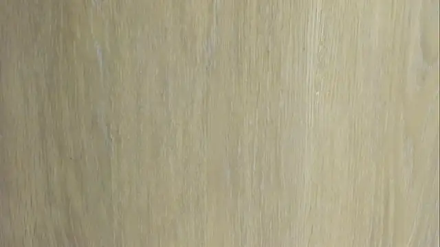 Rachel_Rey's cam snapshot