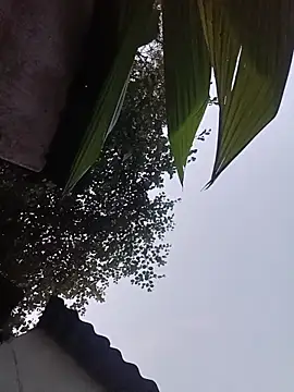 reya743's cam snapshot