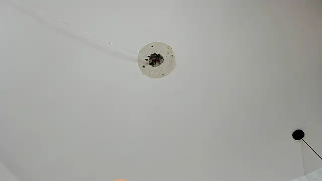 Dayana__Ospina's cam snapshot