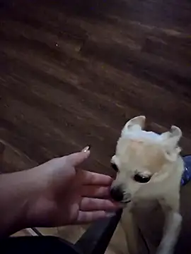 AriannaPena's cam snapshot