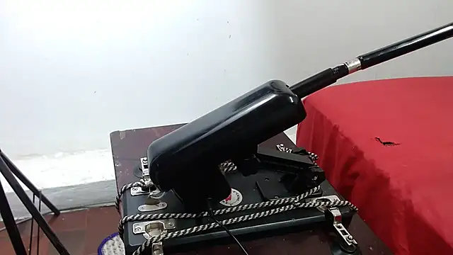 lola_warner's cam snapshot