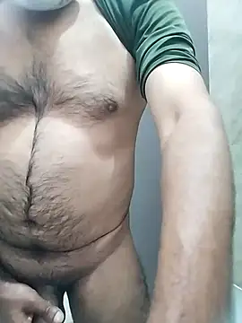 Pitercom's cam snapshot