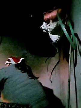 bae-bae's cam snapshot