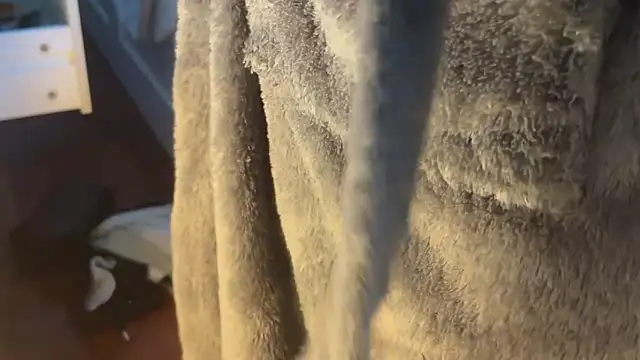 crisso06's cam snapshot