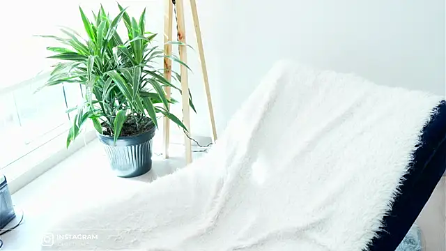 DeusbelliS live sex cam