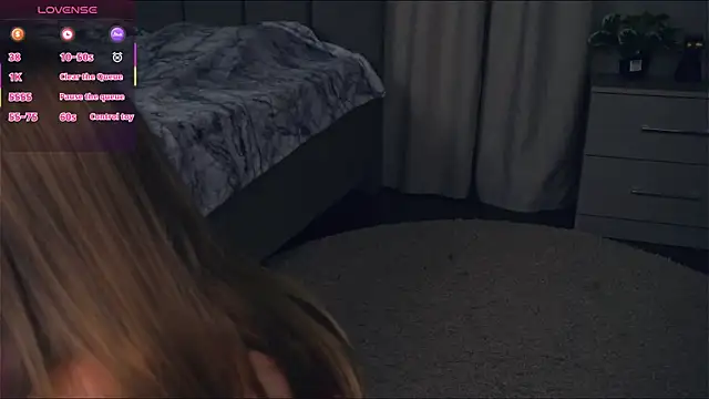 VeronaBench's cam snapshot