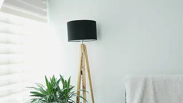 DeusbelliS's cam snapshot