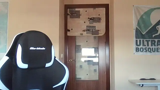 llopaco's cam snapshot