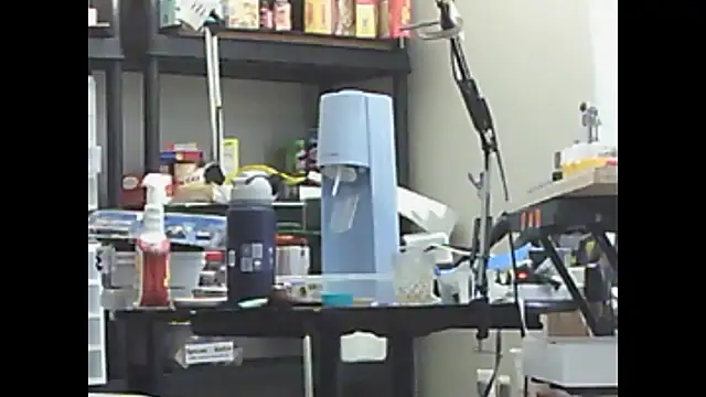 trittico's cam snapshot