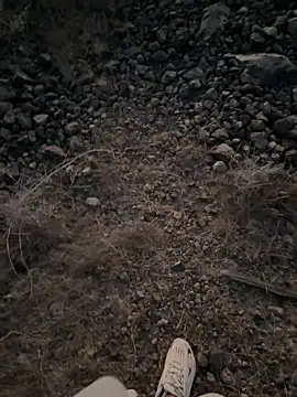 Rico1_1 live sex cam