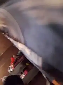 aispuro8505 live sex cam