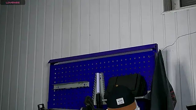 dustyn_fox live sex cam