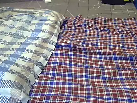 Playroom_queen's cam snapshot