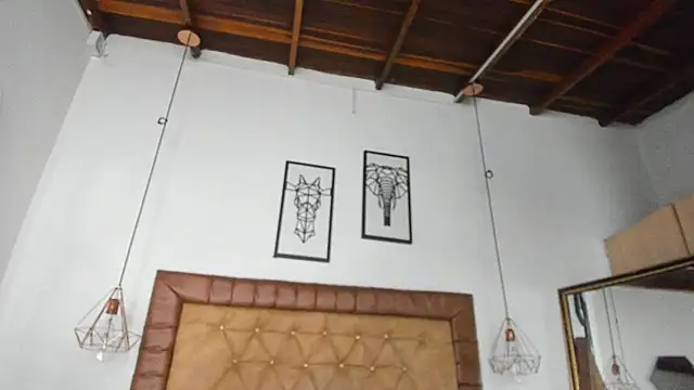 hannarose1208's cam snapshot