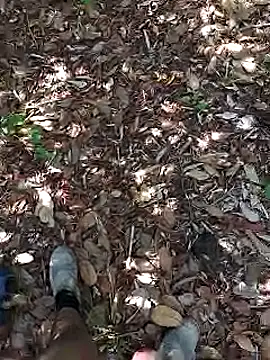 paugrosso553's web cam