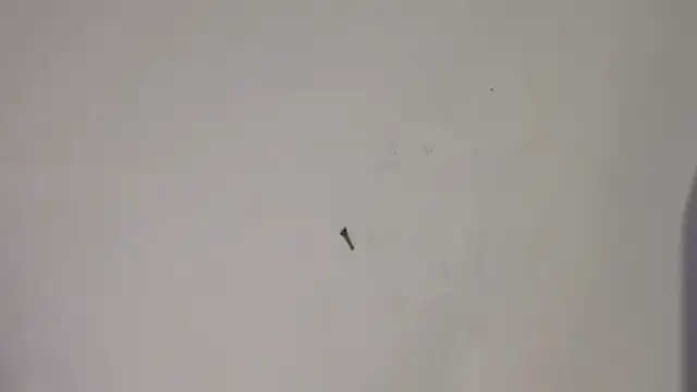 celestesecrett's cam snapshot