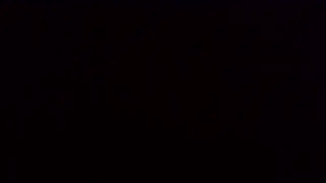 velociraptor_xxx live sex cam