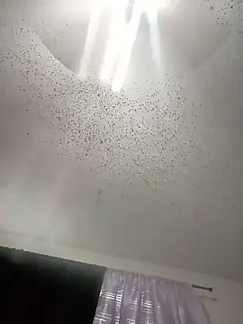 Houstonslong1 live sex cam