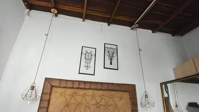 hannarose1208's cam snapshot