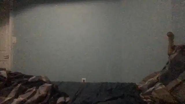 hami513's cam snapshot