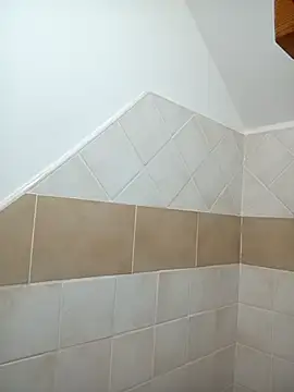 Romaeterna_'s cam snapshot