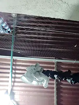 You-sexy-starr's cam snapshot