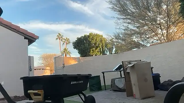 rusharizona live sex cam