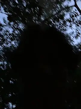 AlexanderHall live sex cam