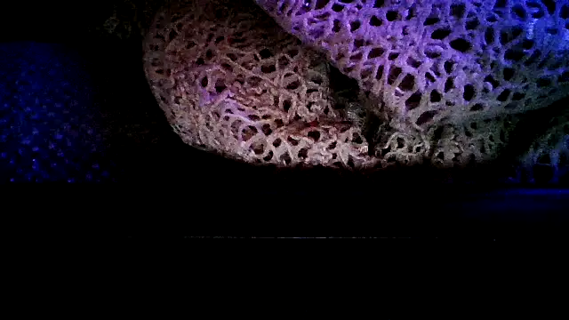 Juicyapplecandy's cam snapshot