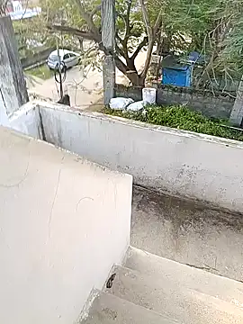 hemcrazy's cam snapshot