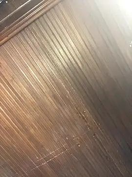 Ssusann_Pink's cam snapshot