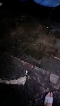 mendelicius's cam snapshot