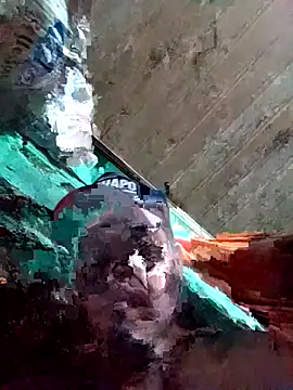 Ridick2025 live sex cam