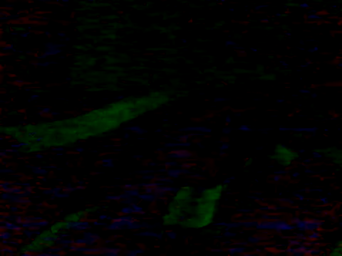 Guilhermekovaliosky's cam snapshot