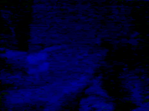 Guilhermekovaliosky's cam snapshot