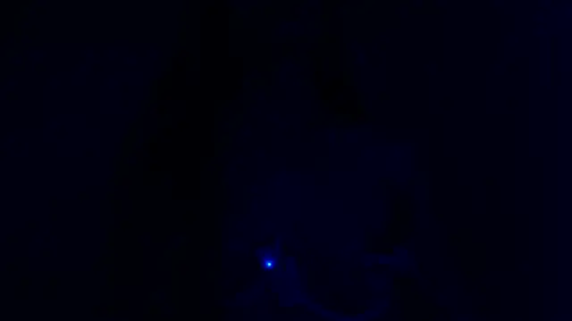 Velvet-Angel's web cam