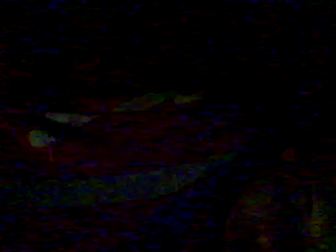 Guilhermekovaliosky's cam snapshot