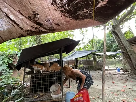 Fayola_Beatrix live sex cam