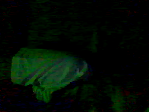 Guilhermekovaliosky's cam snapshot