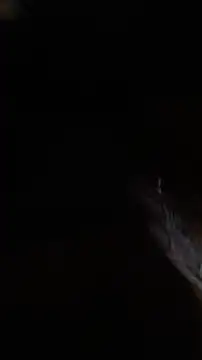 eupica1195's web cam