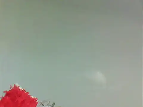 MAZINGDIVA1994's cam snapshot