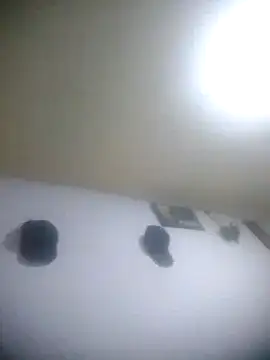 Carabina1991's cam snapshot