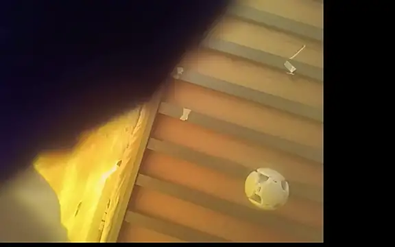 AudBull36's cam snapshot