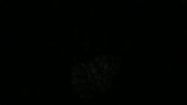 hami513's cam snapshot